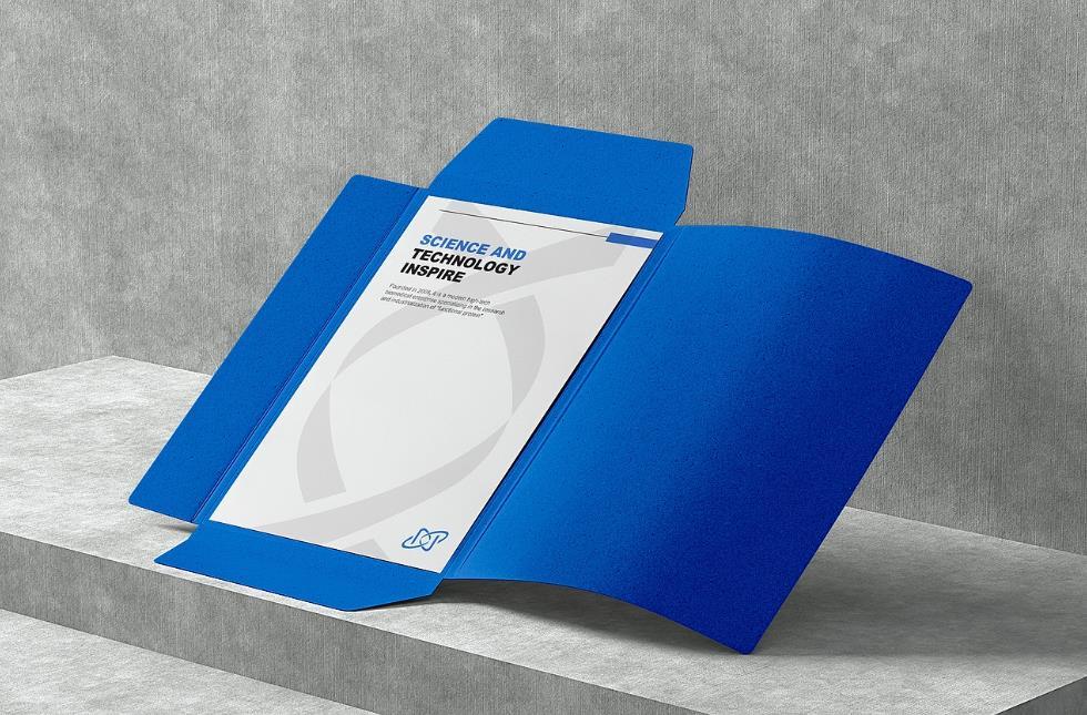 企業(yè)VI系統(tǒng)印刷 - 專業(yè)VI物料整體印刷制作解決方案  第2張